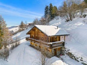 AlpenRose - 8 pers - avec cachet -pres des pistes
